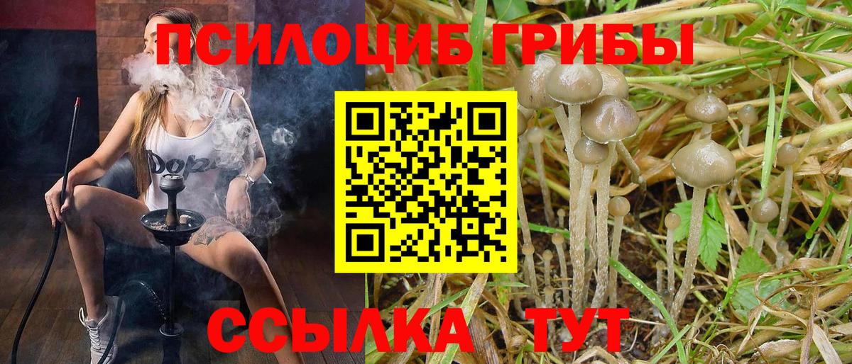 Галлюциногенные грибы Psilocybe Ликино-Дулёво