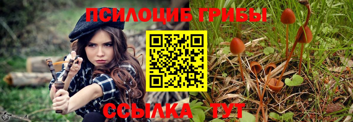 Псилоцибиновые грибы Psilocybe  Вход с VPN  Ликино-Дулёво 
